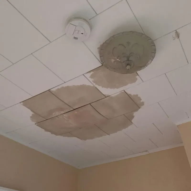 Ceiling Water Damage Repair in Fostoria, OH