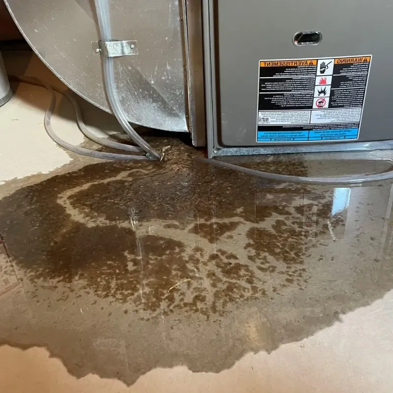 Pipe Burst and Leak Restoration in Fostoria, OH