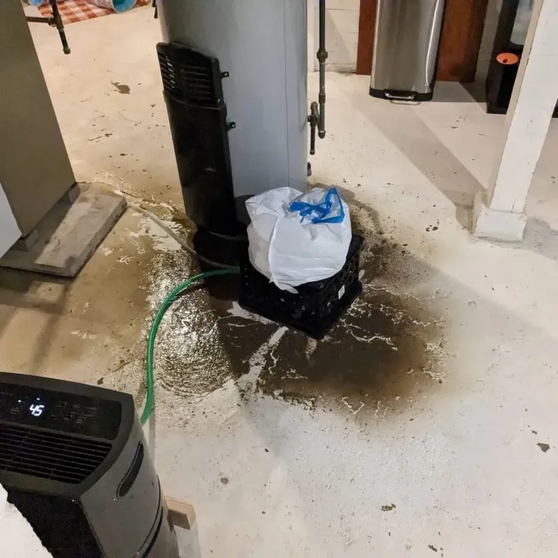 Sewage Backup Cleanup Service in Fostoria, OH